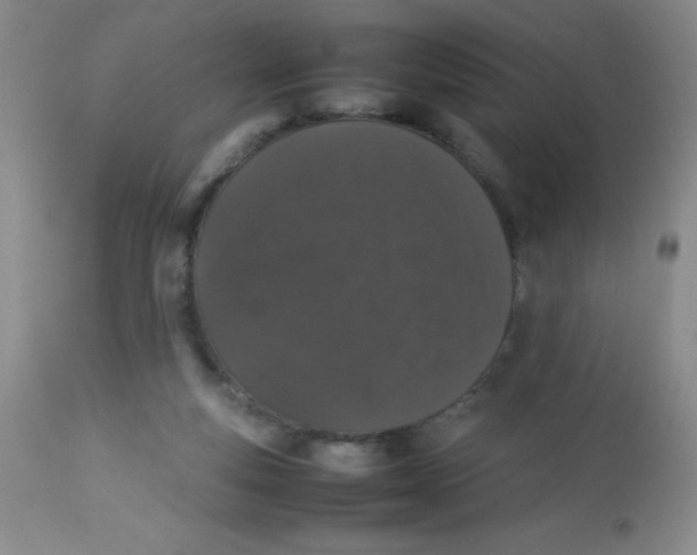 X0000113760163200910211217
