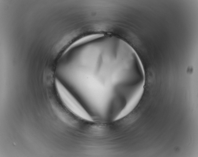 X0000113760164200910211217