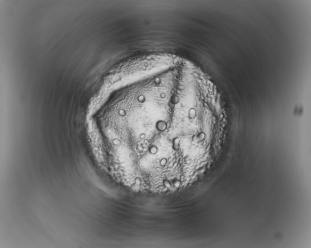 X0000113760165200910211217