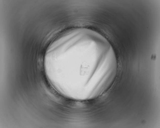 X0000113760166200910211217