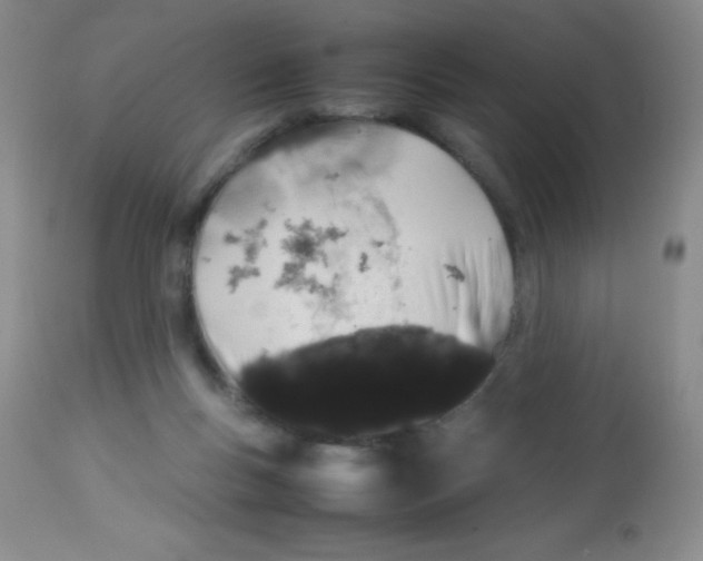 X0000113760167200910211217