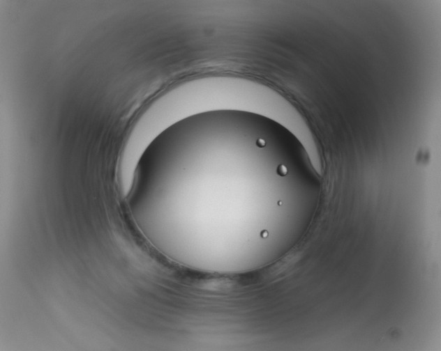 X0000113760168200910211217