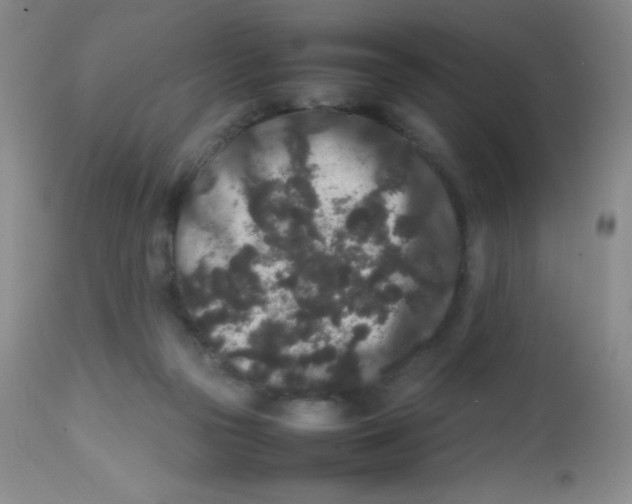X0000113760169200910211217