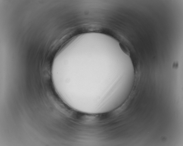 X0000113760170200910211217