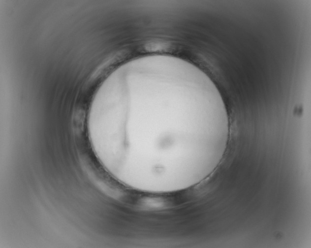 X0000113760171200910211217