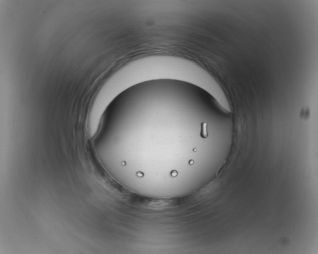 X0000113760172200910211217
