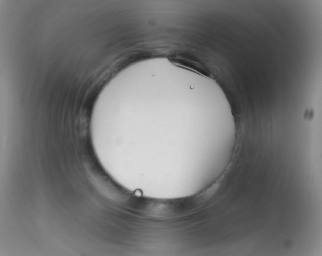 X0000113760174200910211217