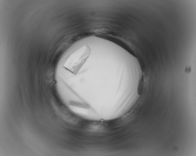 X0000113760175200910211217