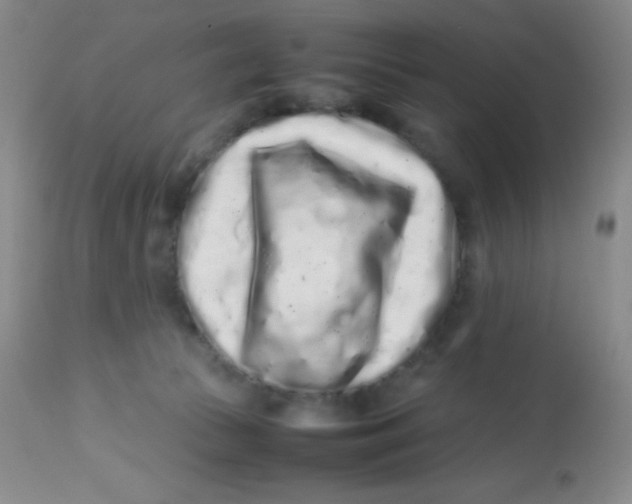 X0000113760177200910211217