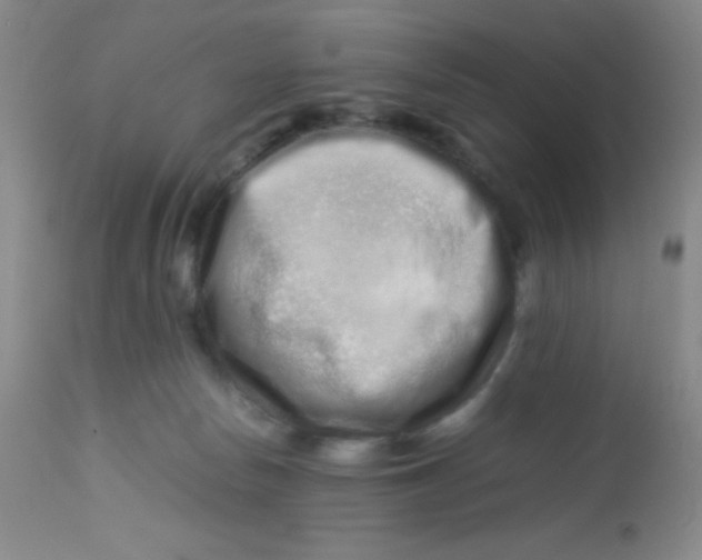 X0000113760178200910211217