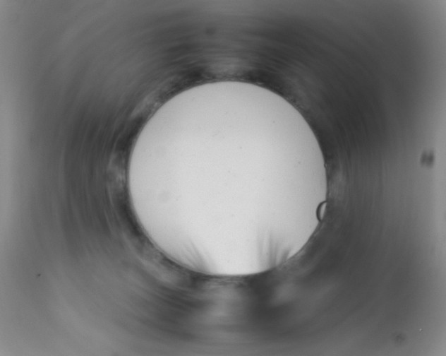 X0000113760179200910211217