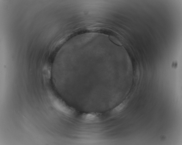 X0000113760180200910211217