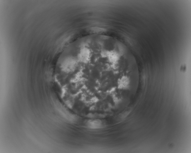 X0000113760181200910211217
