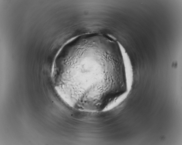 X0000113760182200910211217