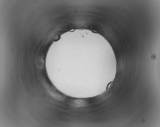 X0000113760183200910211217