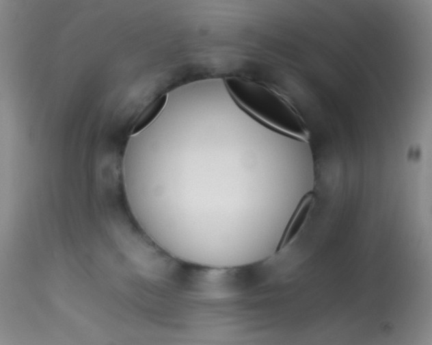 X0000113760184200910211218