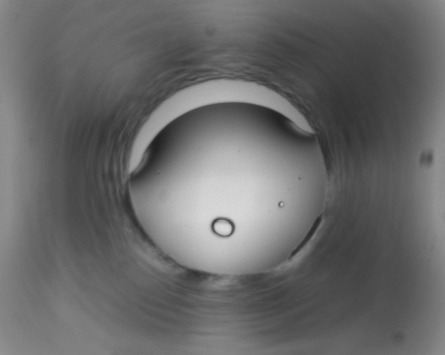 X0000113760186200910211218