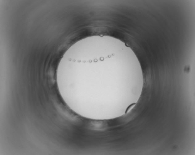 X0000113760187200910211218