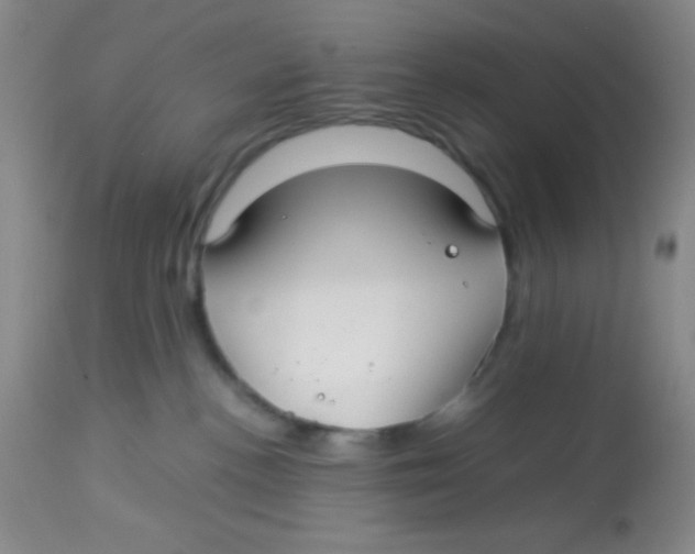 X0000113760188200910211218