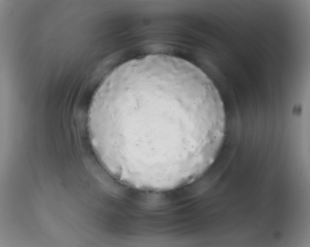 X0000113760189200910211218