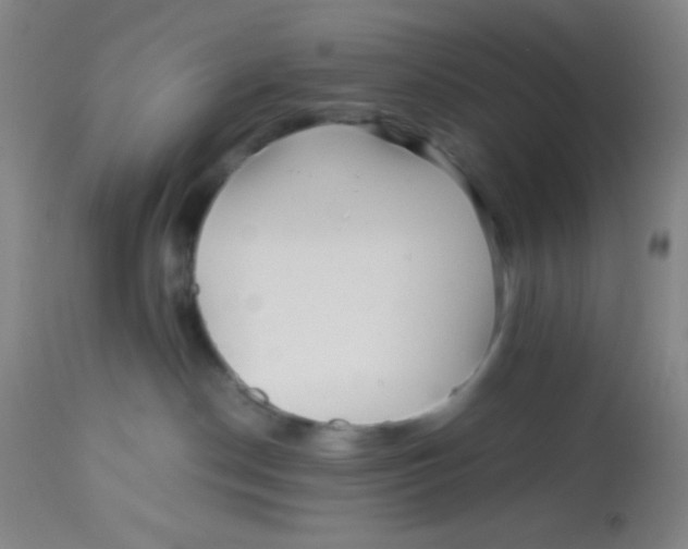 X0000113760190200910211218