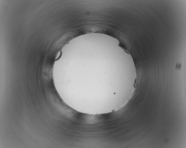 X0000113760191200910211218