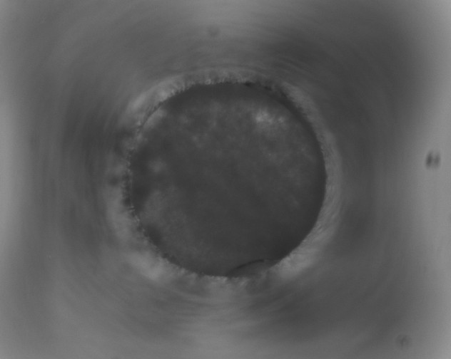 X0000113760192200910211218