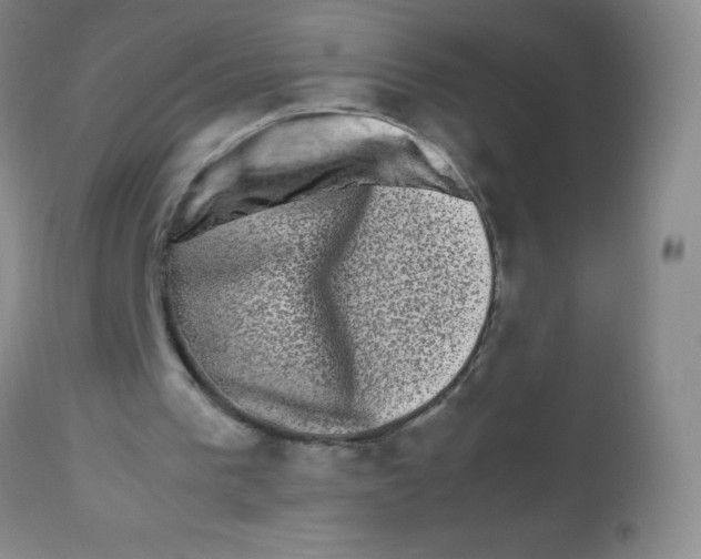 X0000113760193200910211217