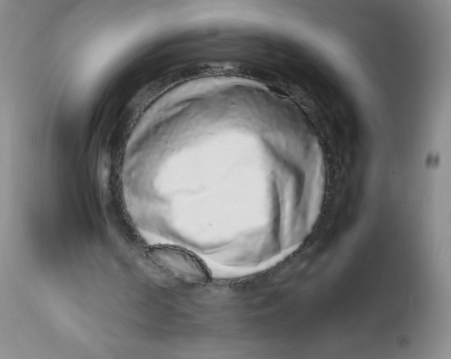 X0000113760194200910211217