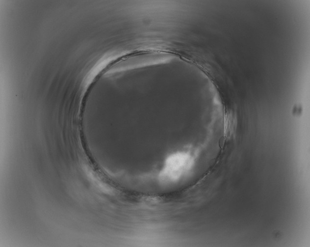 X0000113760195200910211217