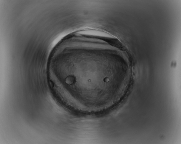 X0000113760196200910211217