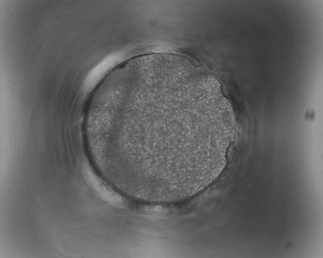 X0000113760197200910211217