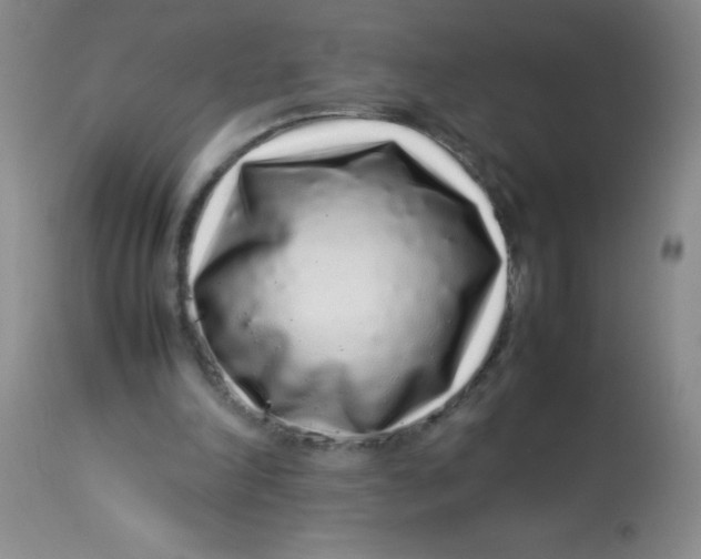 X0000113760198200910211217