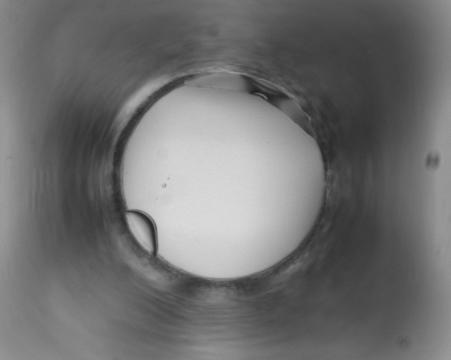 X0000113760200200910211217