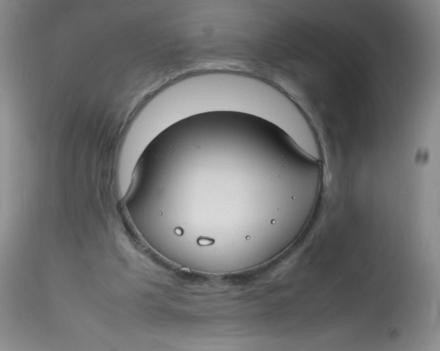 X0000113760201200910211217