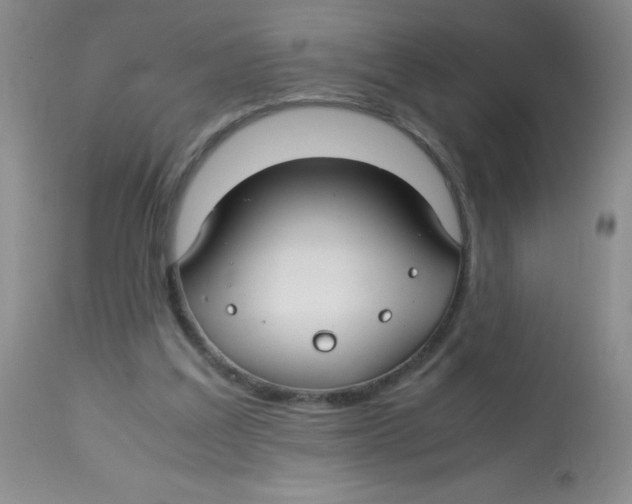 X0000113760203200910211217