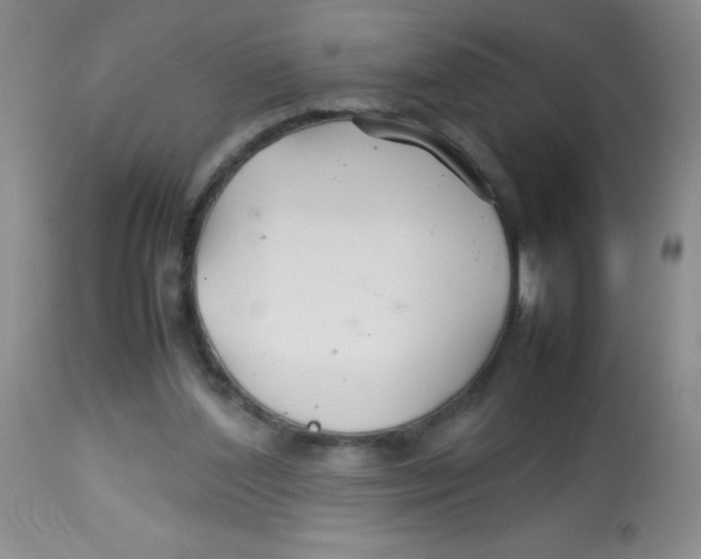 X0000113760204200910211217