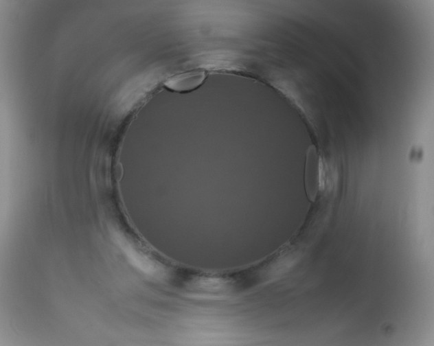 X0000113760205200910211217