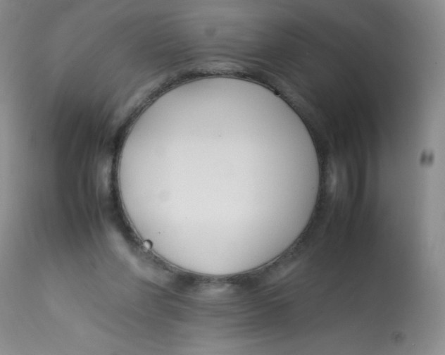 X0000113760206200910211217
