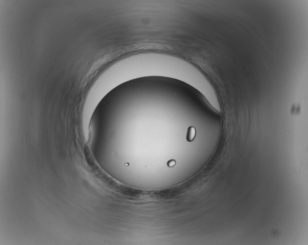 X0000113760207200910211217