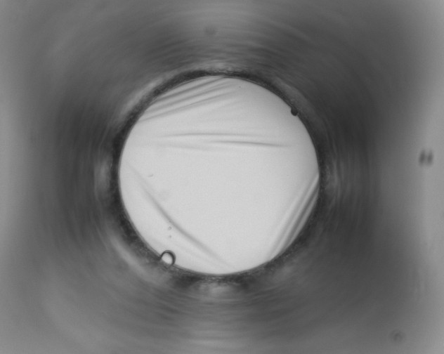 X0000113760208200910211217