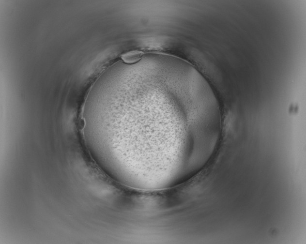 X0000113760209200910211217