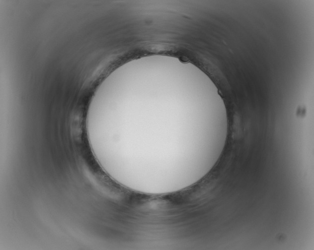 X0000113760210200910211217