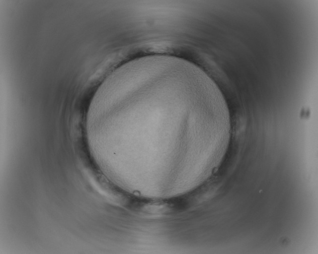 X0000113760213200910211217