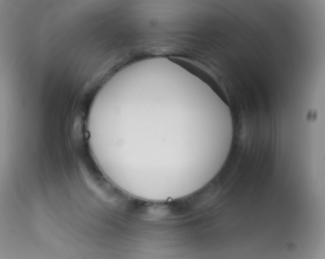 X0000113760214200910211217