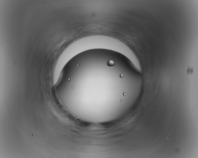 X0000113760215200910211217