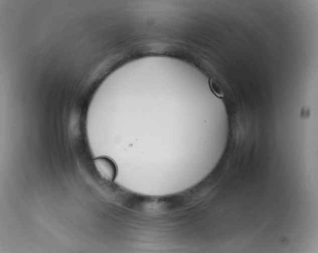 X0000113760216200910211217