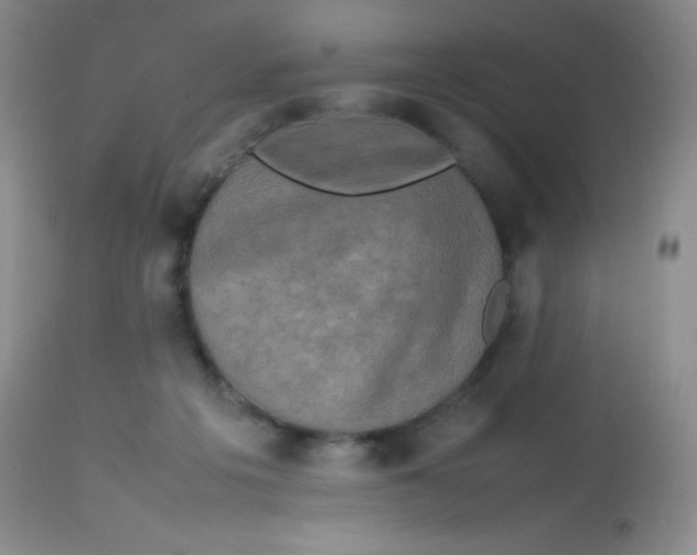 X0000113760217200910211217