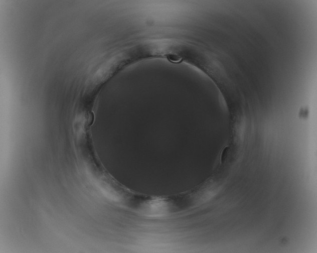 X0000113760219200910211217