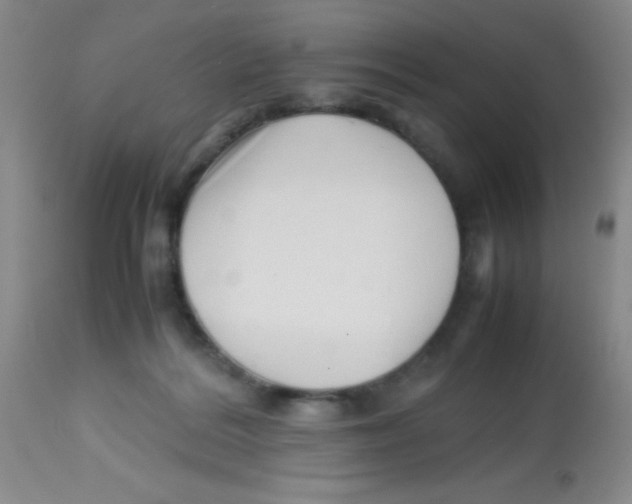 X0000113760220200910211217